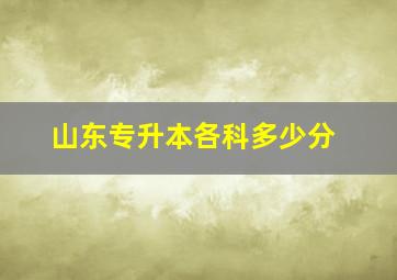 山东专升本各科多少分