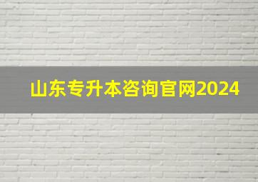 山东专升本咨询官网2024