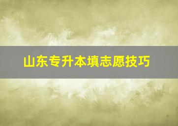 山东专升本填志愿技巧