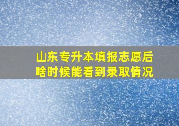 山东专升本填报志愿后啥时候能看到录取情况