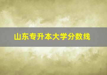 山东专升本大学分数线