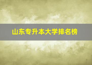 山东专升本大学排名榜