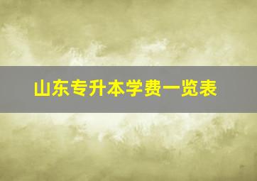 山东专升本学费一览表