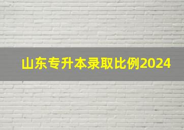 山东专升本录取比例2024