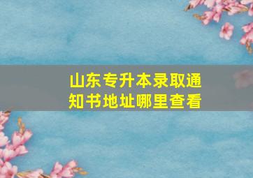 山东专升本录取通知书地址哪里查看