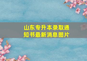 山东专升本录取通知书最新消息图片