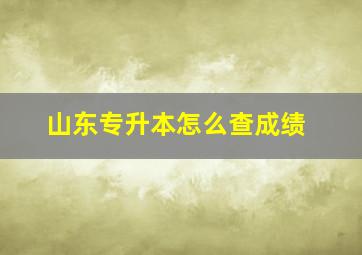 山东专升本怎么查成绩