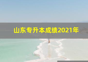 山东专升本成绩2021年