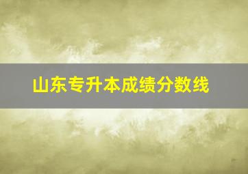 山东专升本成绩分数线