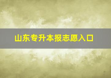 山东专升本报志愿入口