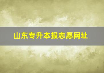 山东专升本报志愿网址