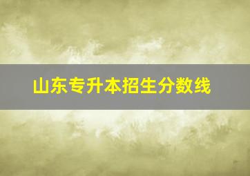 山东专升本招生分数线