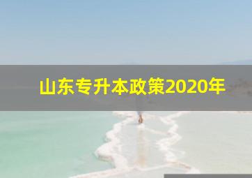 山东专升本政策2020年