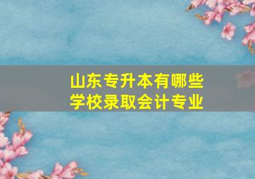 山东专升本有哪些学校录取会计专业