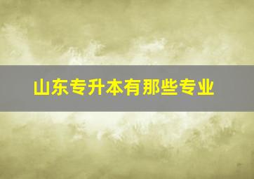 山东专升本有那些专业