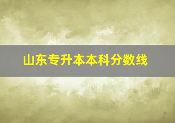 山东专升本本科分数线