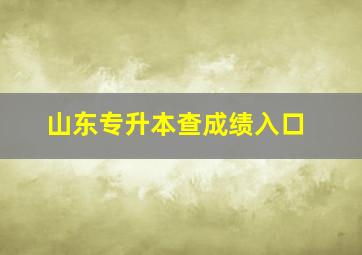 山东专升本查成绩入口