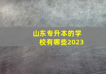 山东专升本的学校有哪些2023