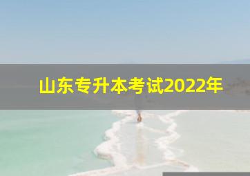 山东专升本考试2022年