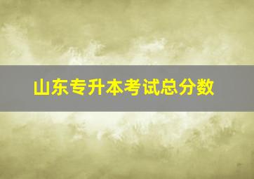 山东专升本考试总分数