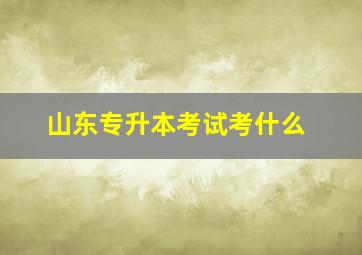 山东专升本考试考什么