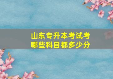 山东专升本考试考哪些科目都多少分