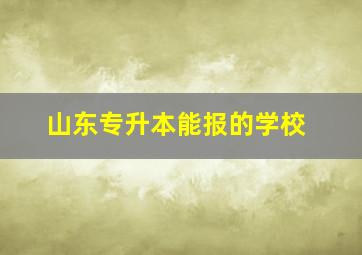 山东专升本能报的学校