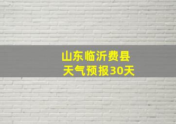 山东临沂费县天气预报30天