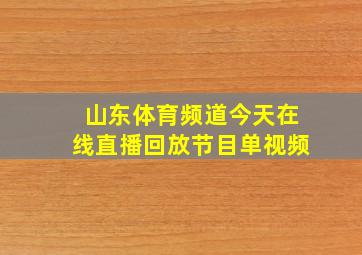 山东体育频道今天在线直播回放节目单视频