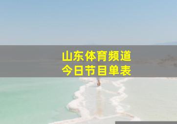 山东体育频道今日节目单表