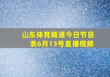 山东体育频道今日节目表6月13号直播视频