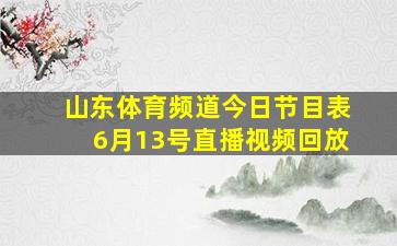 山东体育频道今日节目表6月13号直播视频回放