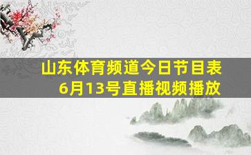 山东体育频道今日节目表6月13号直播视频播放