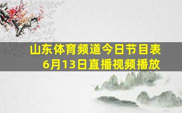 山东体育频道今日节目表6月13日直播视频播放