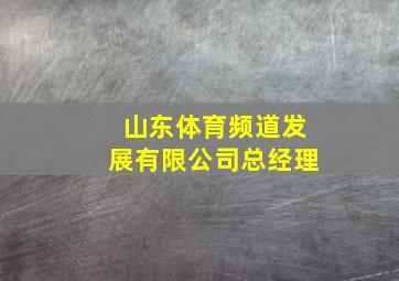 山东体育频道发展有限公司总经理