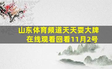 山东体育频道天天耍大牌在线观看回看11月2号