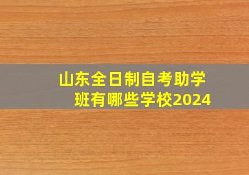 山东全日制自考助学班有哪些学校2024