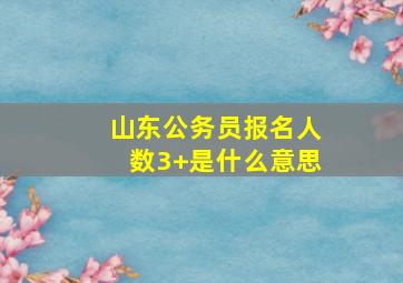 山东公务员报名人数3+是什么意思