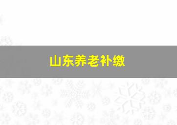 山东养老补缴