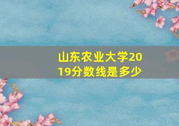 山东农业大学2019分数线是多少