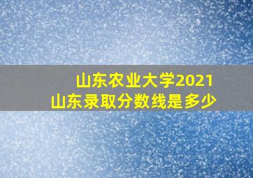 山东农业大学2021山东录取分数线是多少