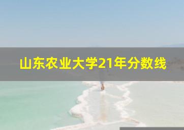 山东农业大学21年分数线