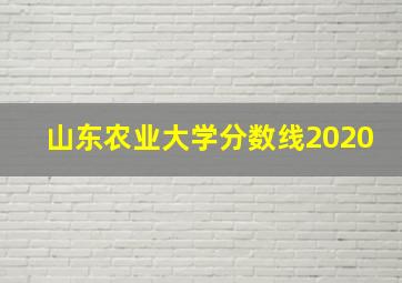 山东农业大学分数线2020