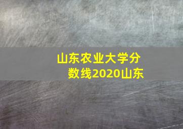 山东农业大学分数线2020山东