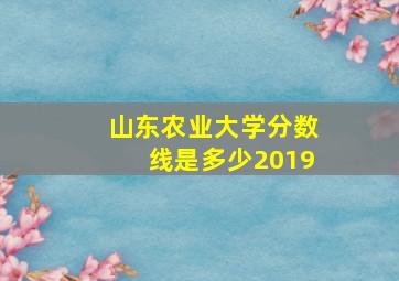 山东农业大学分数线是多少2019