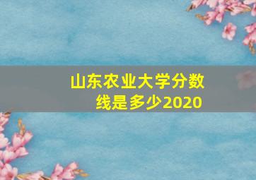 山东农业大学分数线是多少2020