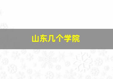 山东几个学院