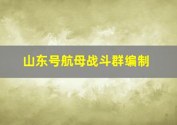 山东号航母战斗群编制