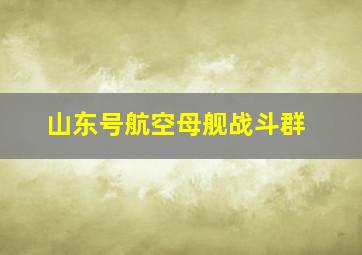 山东号航空母舰战斗群