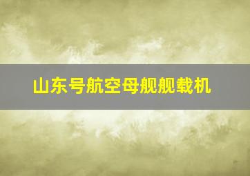 山东号航空母舰舰载机